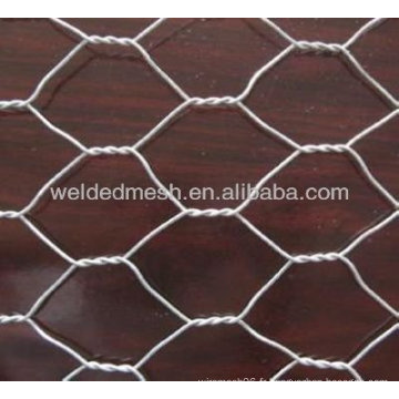 Forme hexagonale Gal Wire Mesh